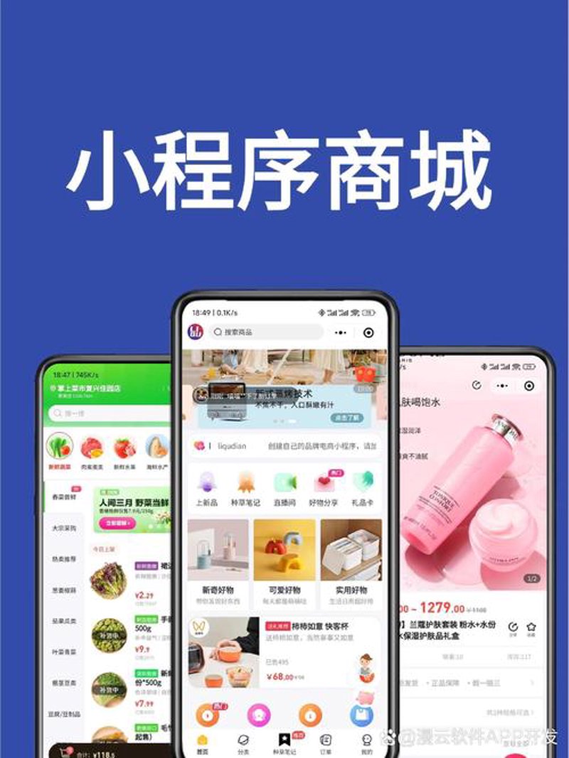 互联网时代的商城系统开发：构建你的电商梦工厂